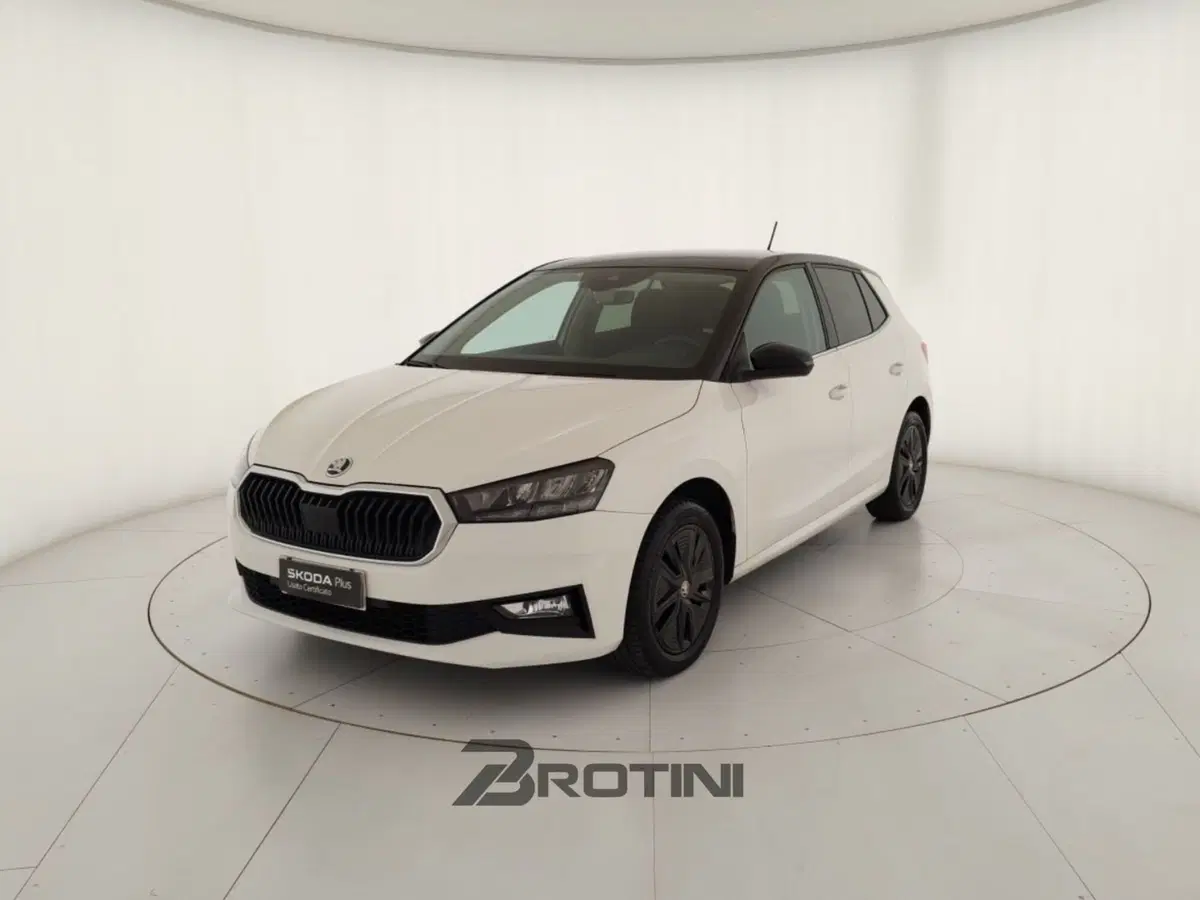 Skoda Fabia usata a Massa-Carrara