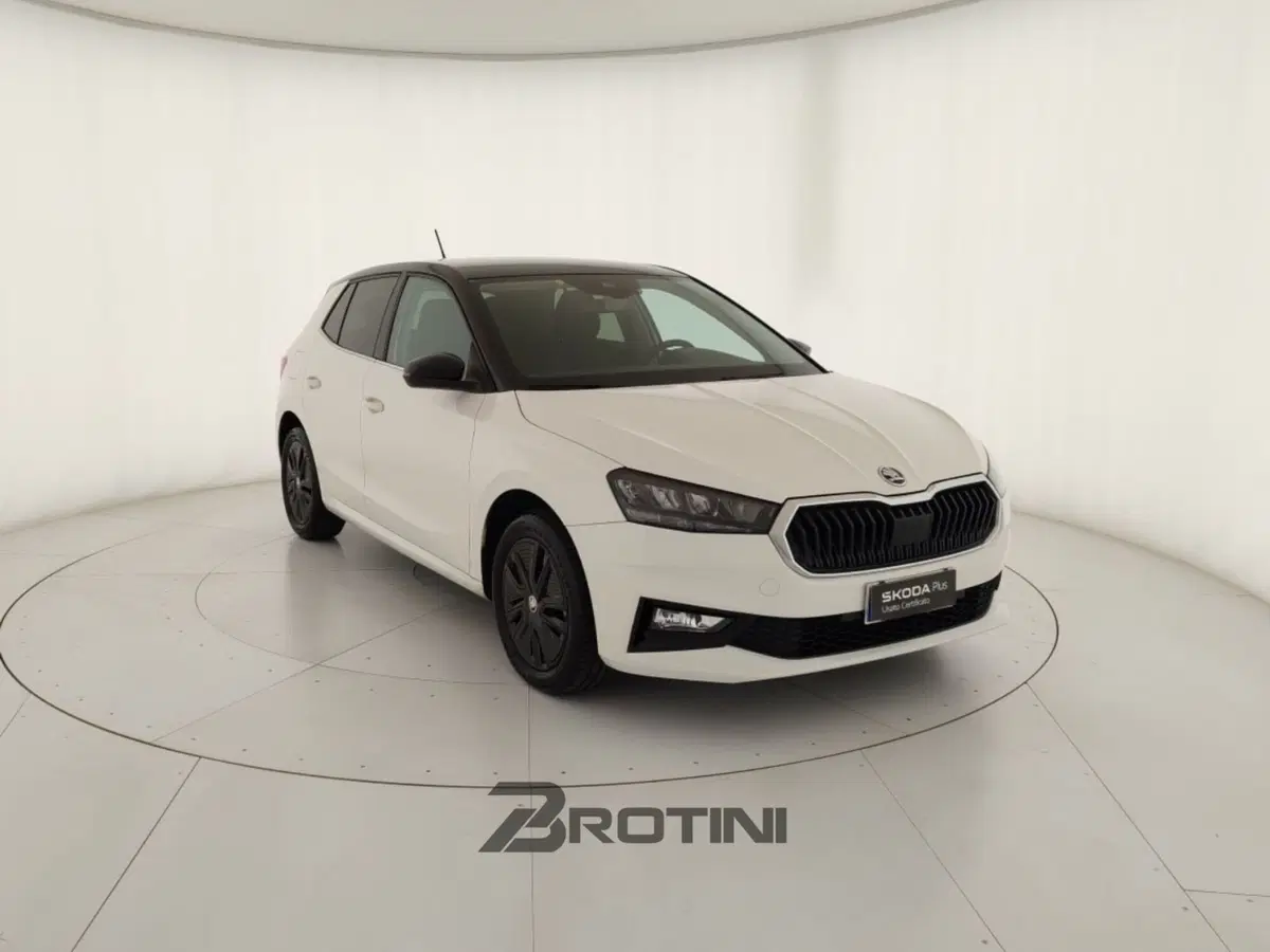 Skoda Fabia usata a Massa-Carrara (4)