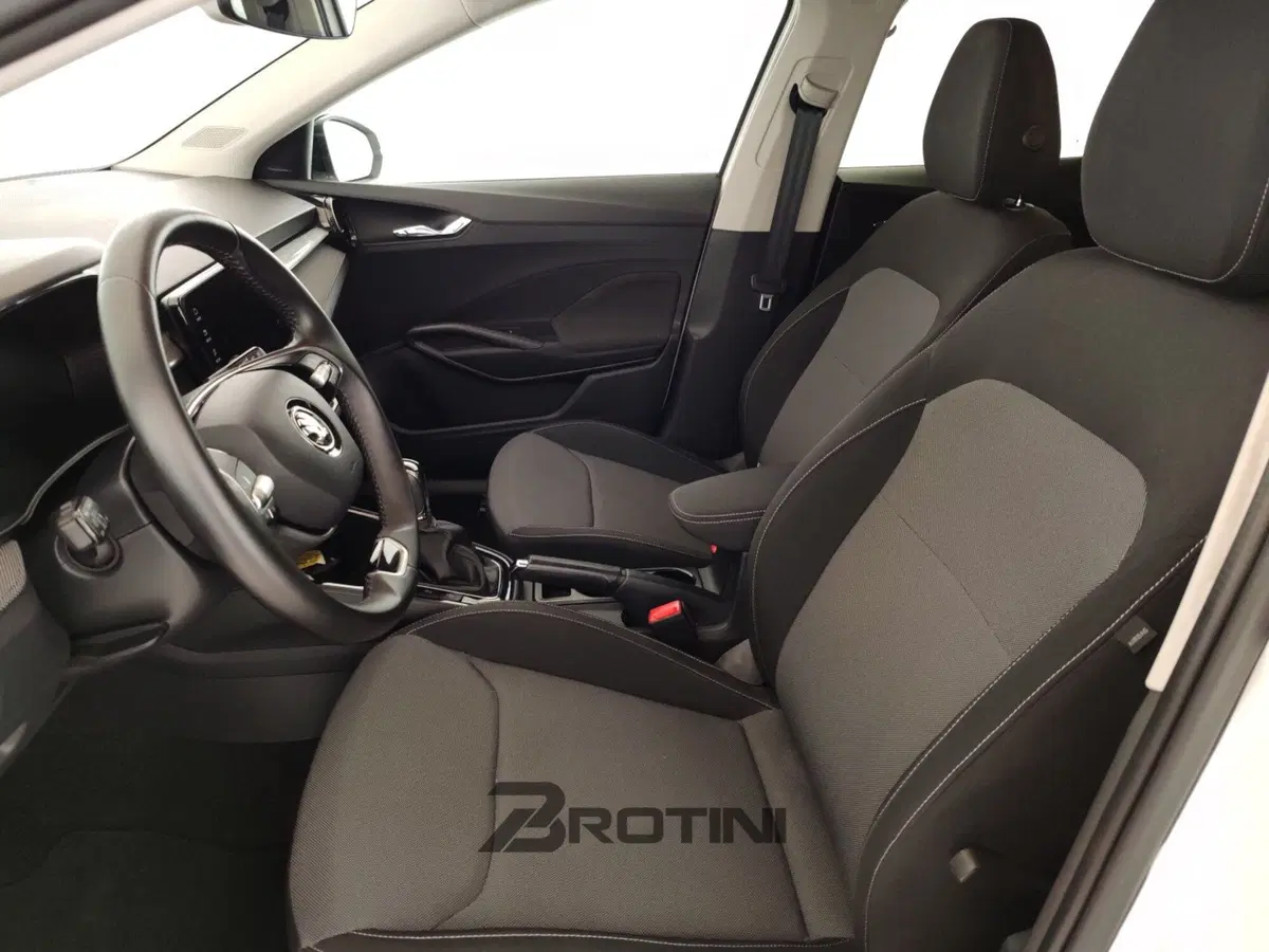 Skoda Fabia usata a Massa-Carrara (7)