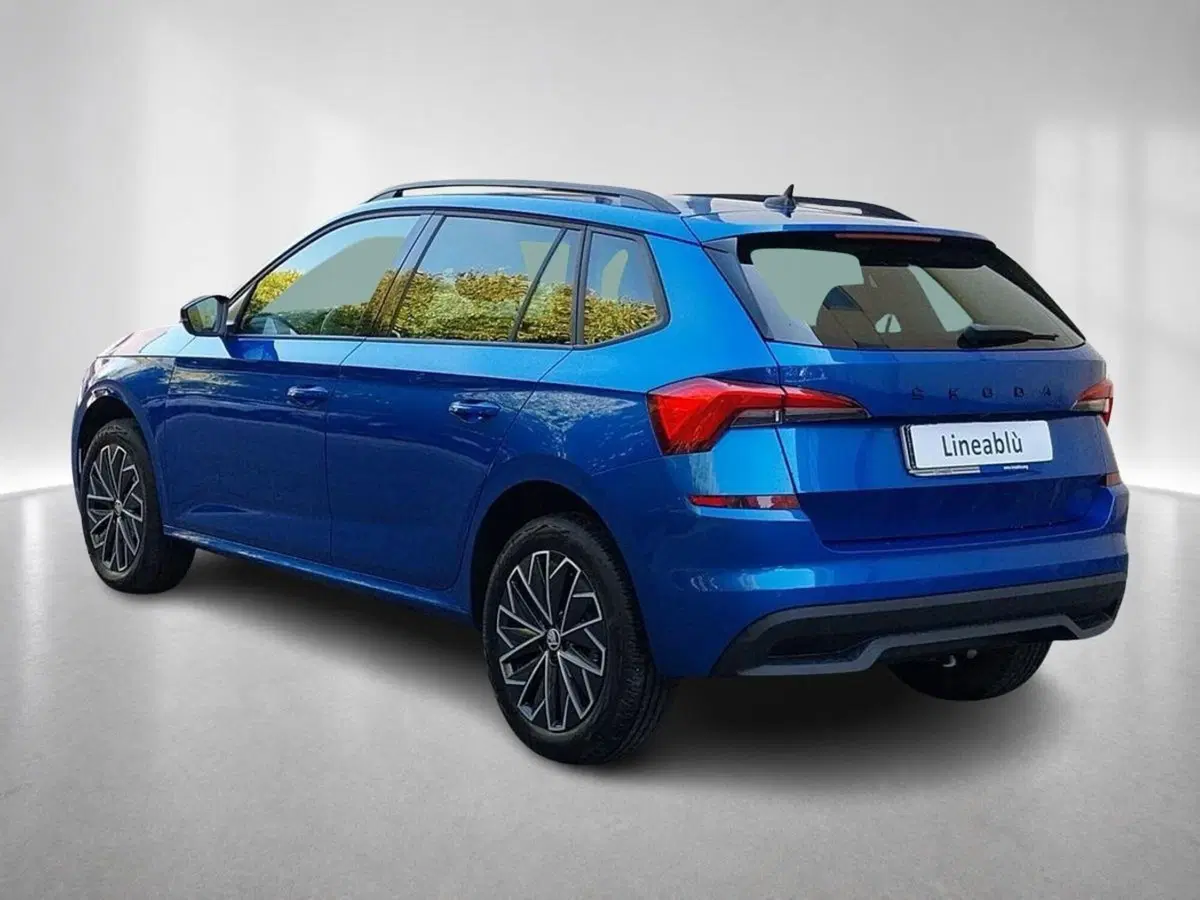 Skoda Kamiq usata a Forlì-Cesena (2)