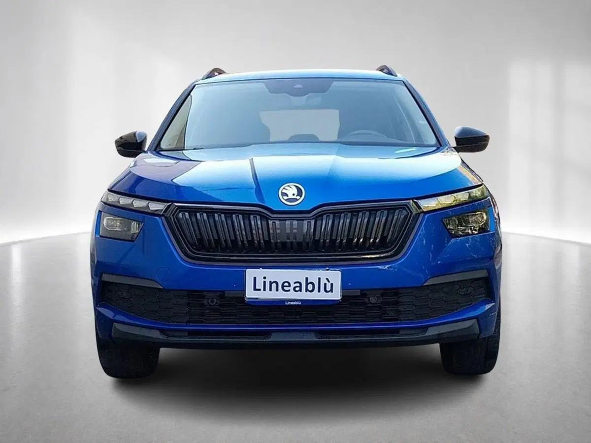 Skoda Kamiq usata a Forlì-Cesena (8)