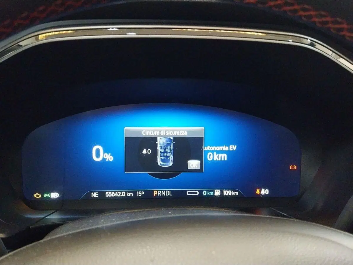Ford Kuga usata a Forlì-Cesena (11)