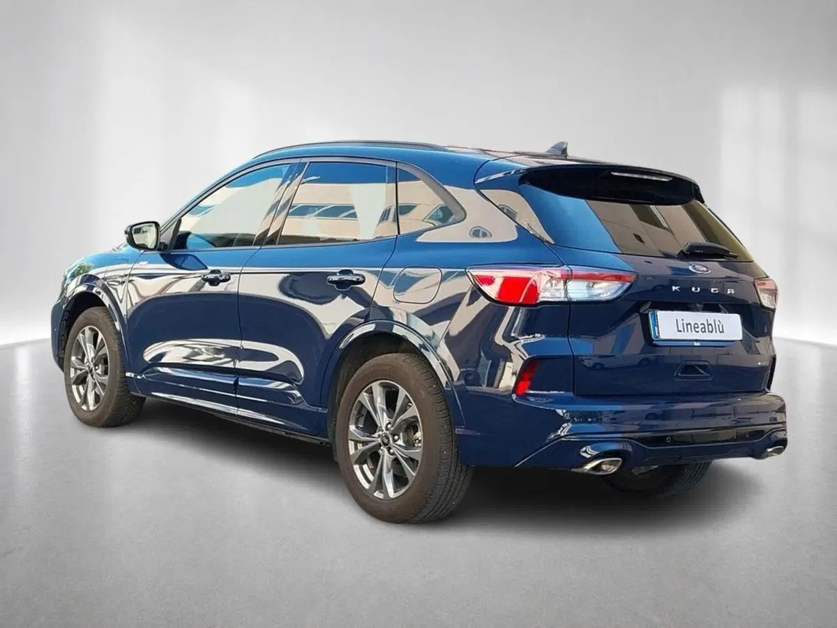 Ford Kuga usata a Forlì-Cesena (2)