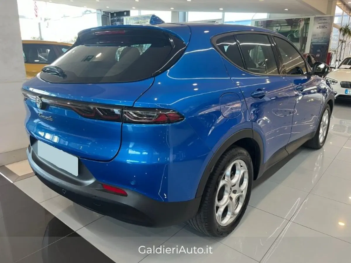 Alfa Romeo Tonale usata a Salerno (11)
