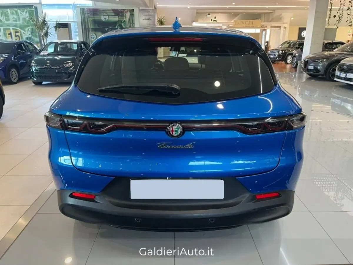 Alfa Romeo Tonale usata a Salerno (13)