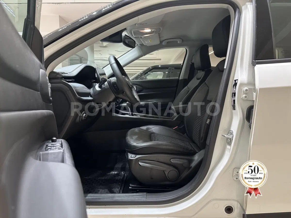 Jeep Compass usata a Forlì-Cesena (14)