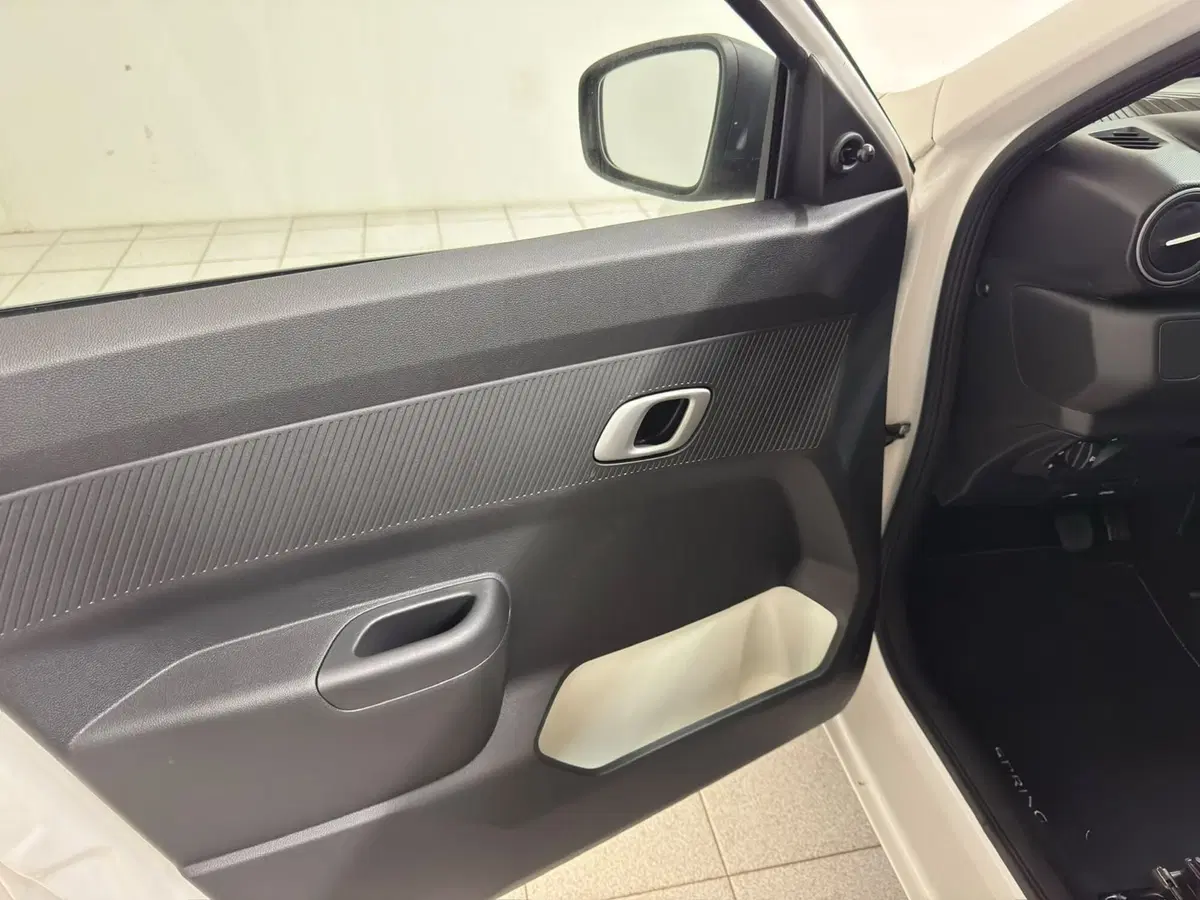 Dacia Spring usata a Novara (19)
