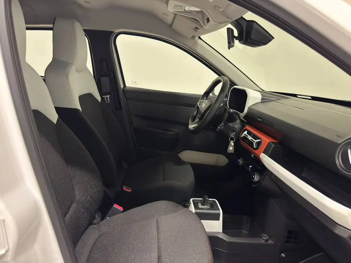 Dacia Spring usata a Novara (3)
