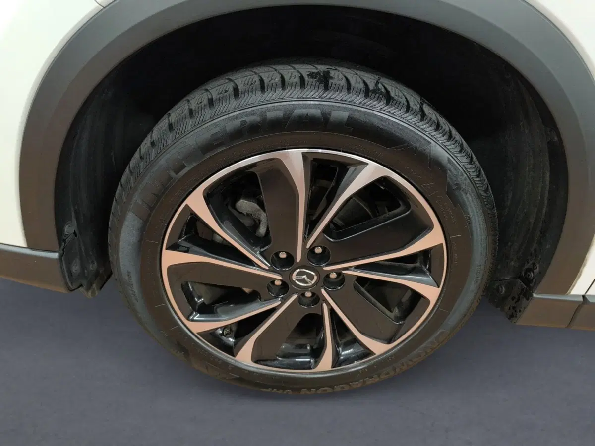 Mazda CX-5 usata a Udine (7)