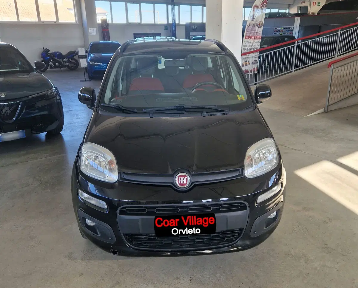Fiat Panda usata a Terni (2)