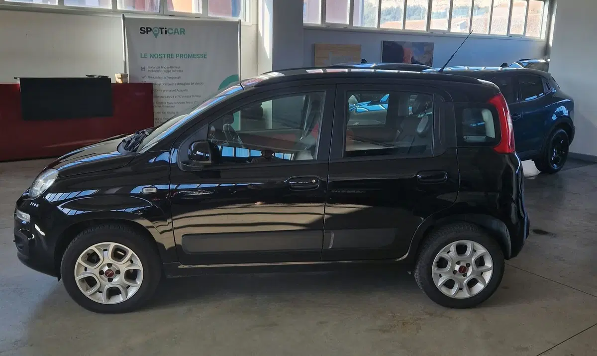 Fiat Panda usata a Terni (3)