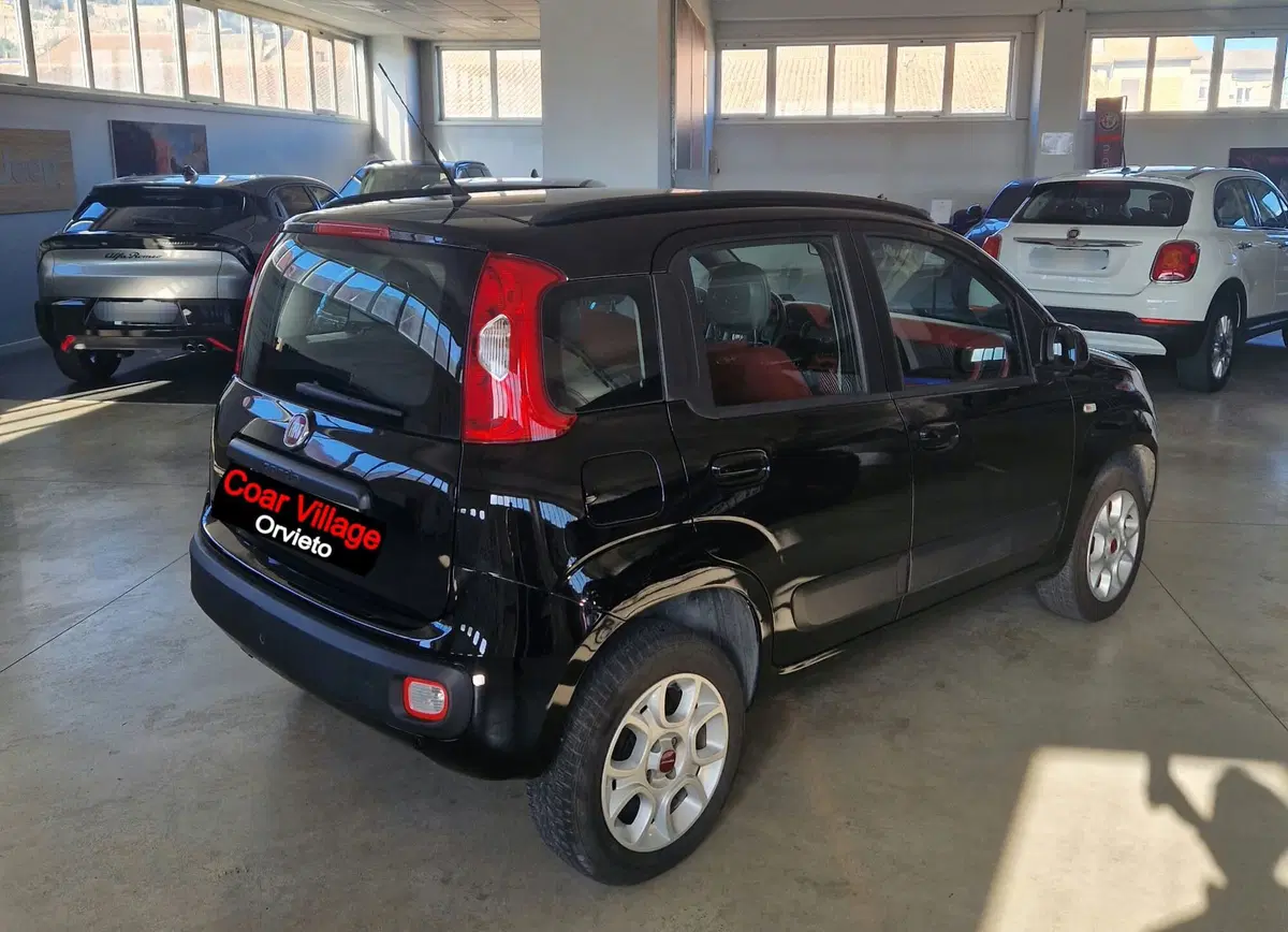 Fiat Panda usata a Terni (4)