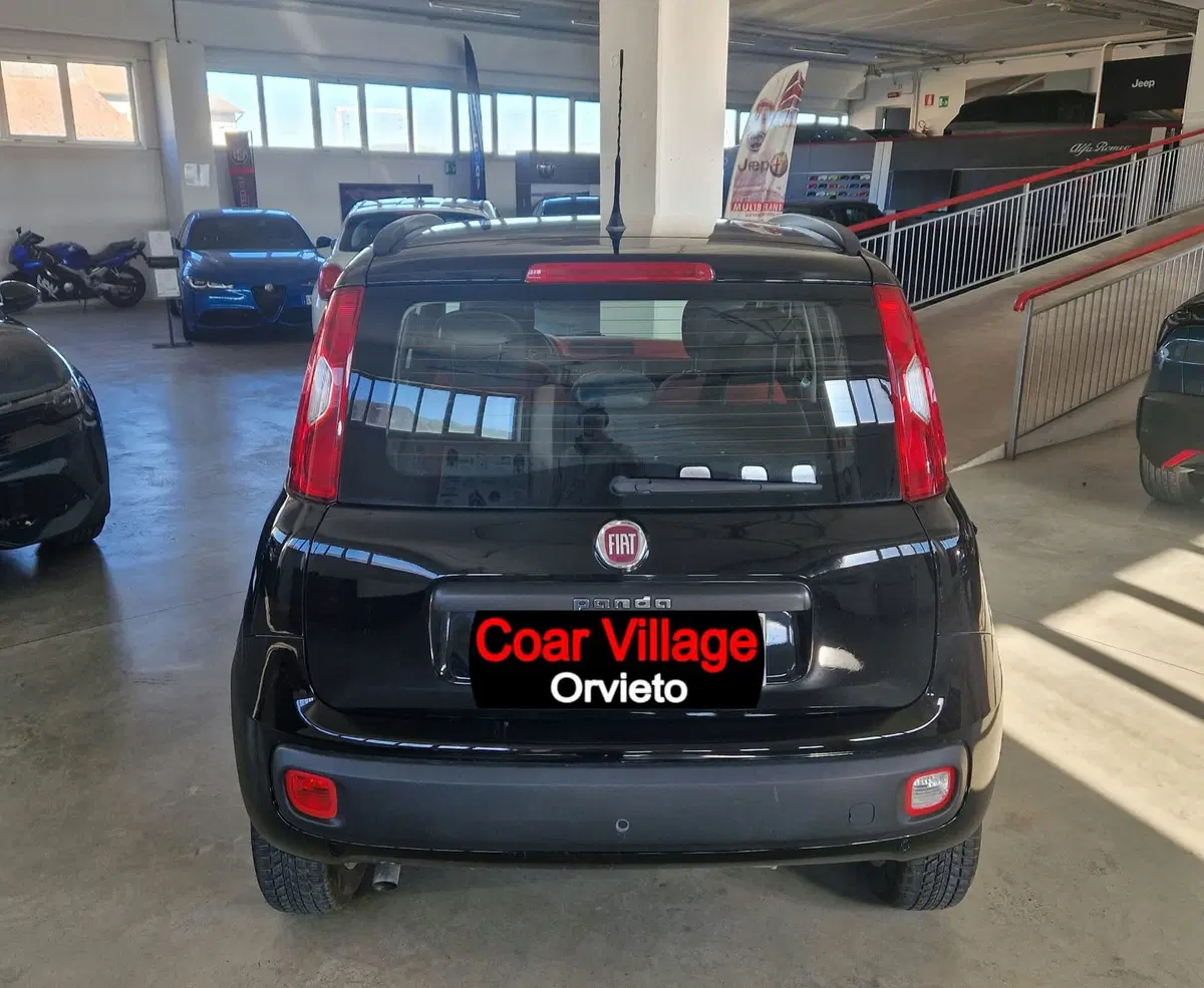 Fiat Panda usata a Terni (5)