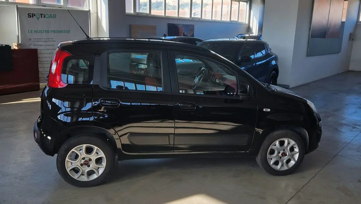 Fiat Panda usata a Terni (6)
