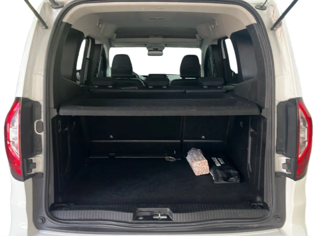 Renault Kangoo usata a Roma (10)