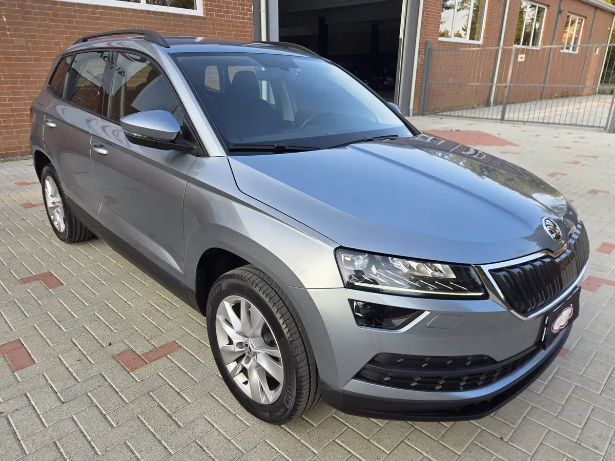 Skoda Karoq usata a Torino (2)