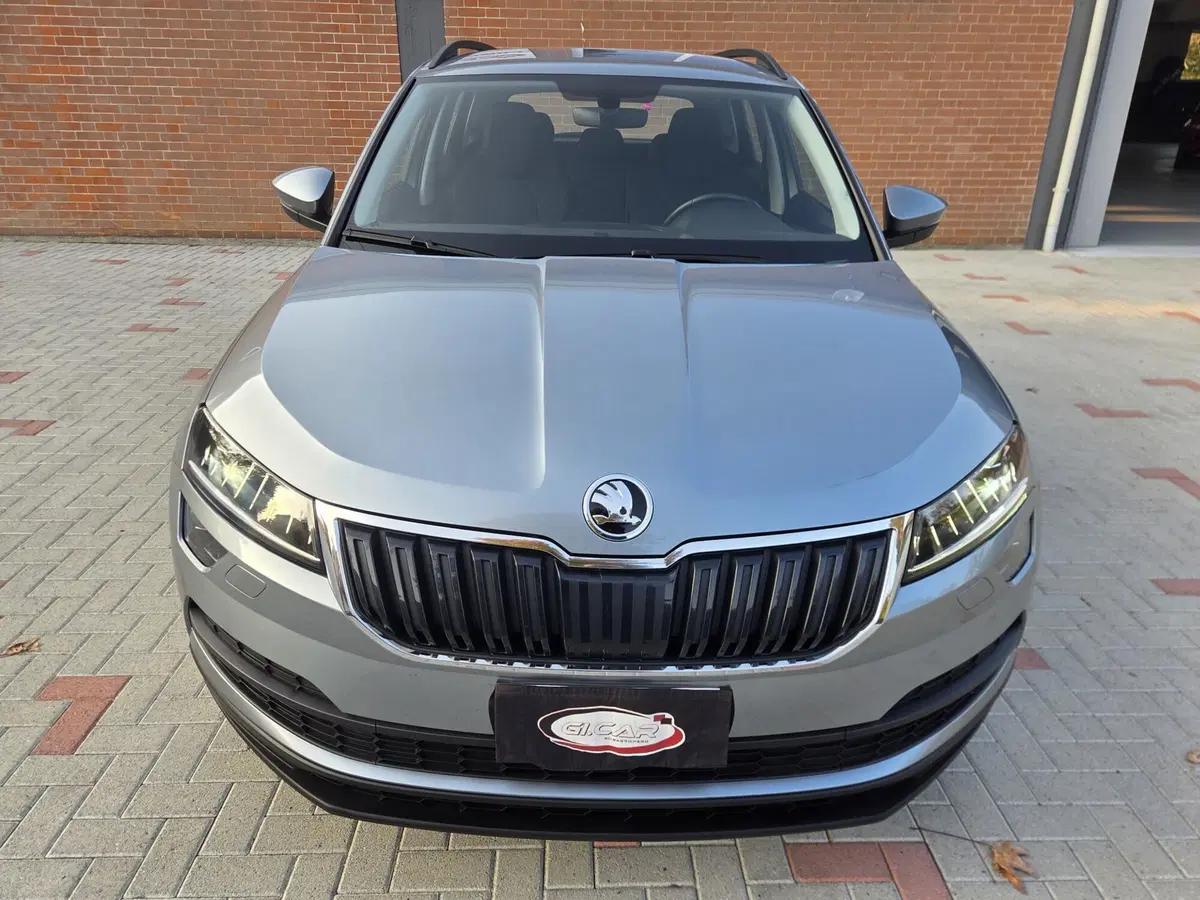 Skoda Karoq usata a Torino (5)