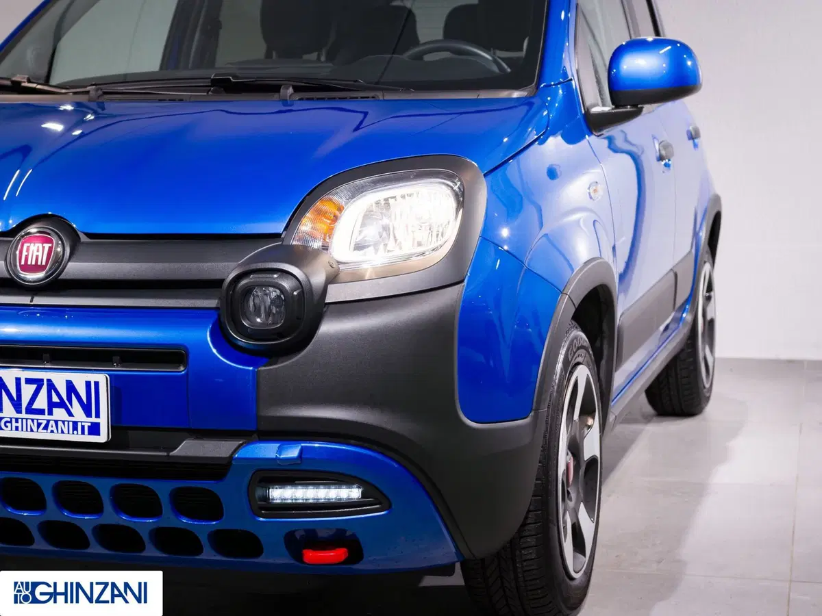Fiat Panda Cross usata a Bergamo (17)