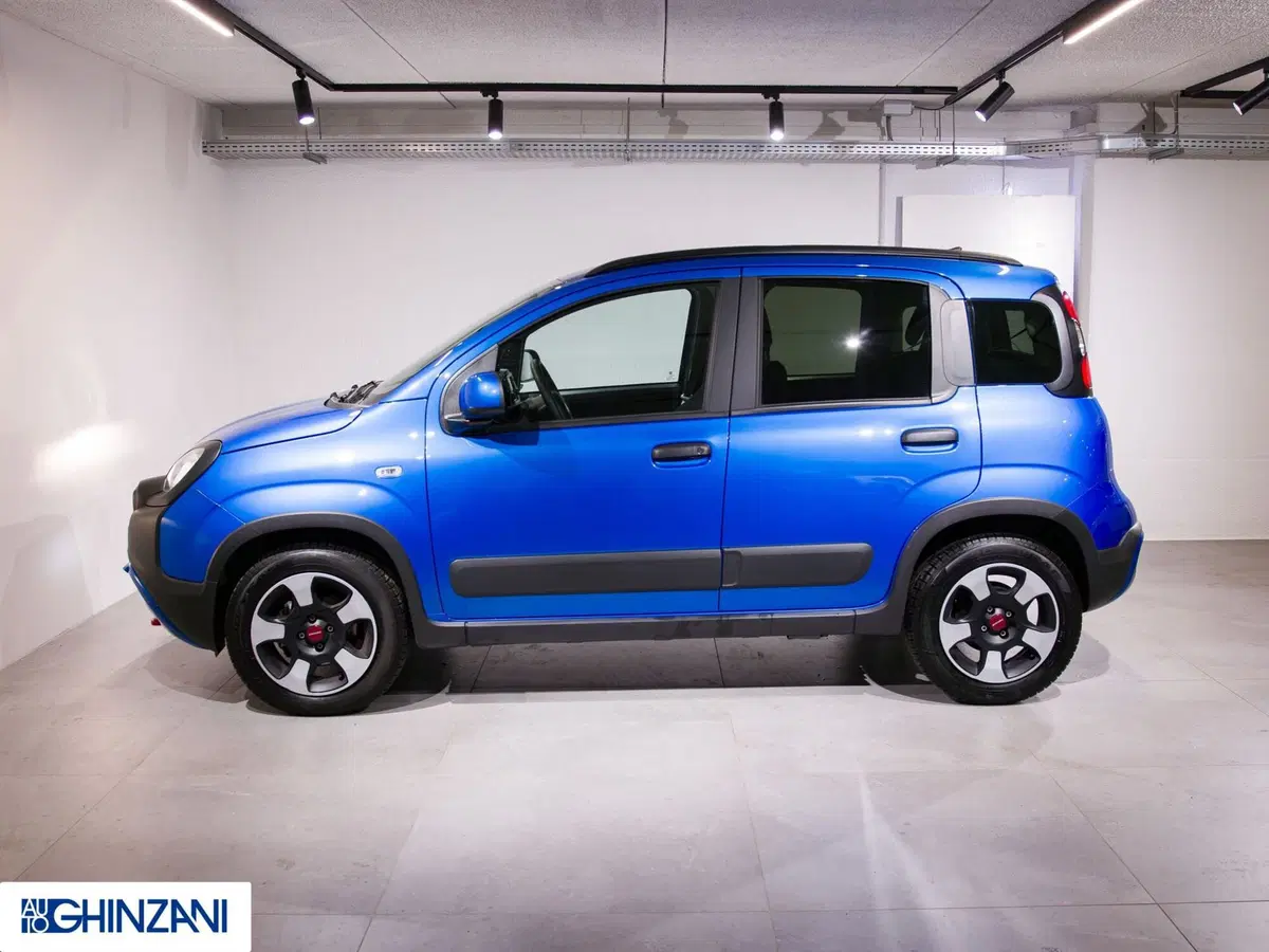 Fiat Panda Cross usata a Bergamo (5)