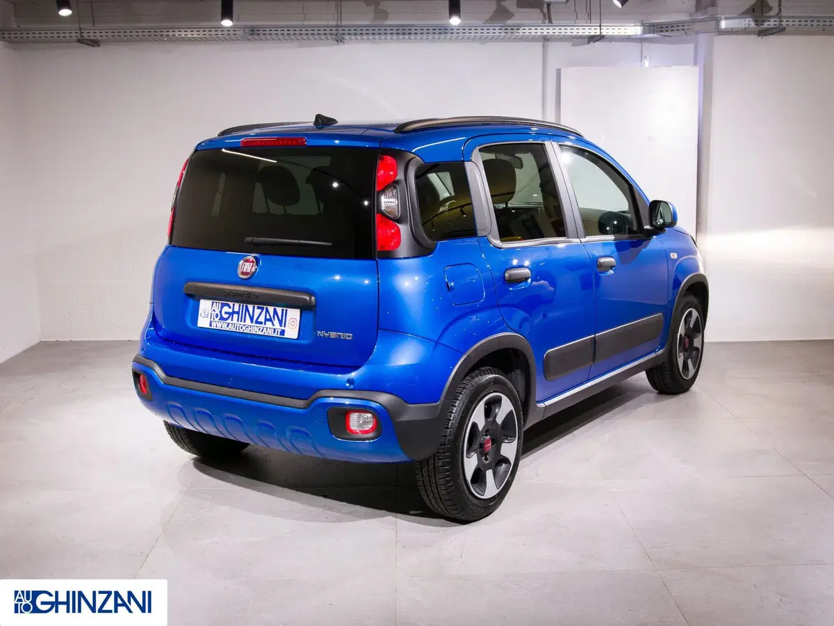 Fiat Panda Cross usata a Bergamo (7)