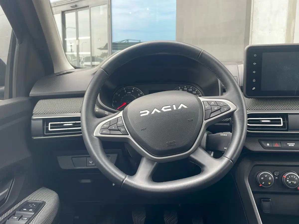 Dacia Sandero Streetway usata a Bologna (14)