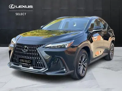 Lexus NX 350h 2.5 Business 4wd e-cvt del 2024 usata a San Lazzaro di Savena