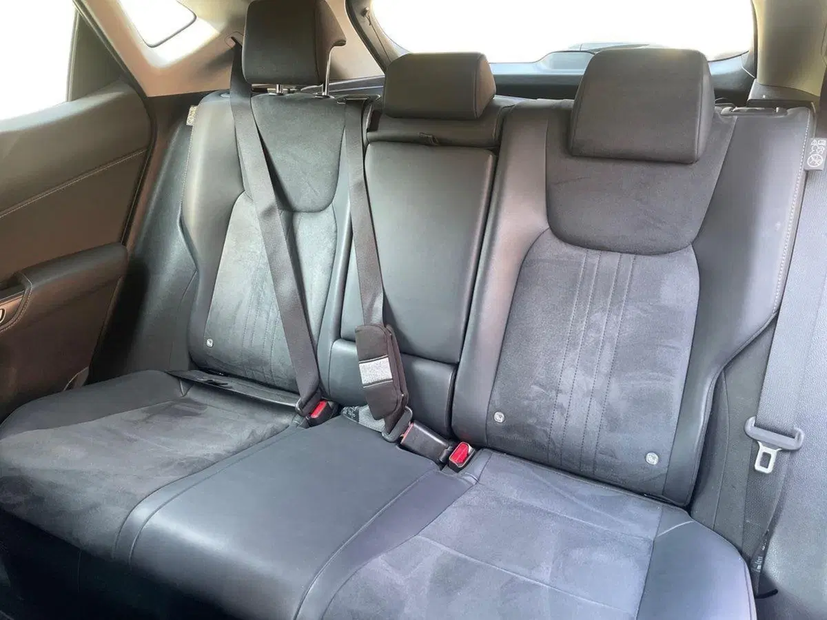 Lexus NX usata a Bologna (11)
