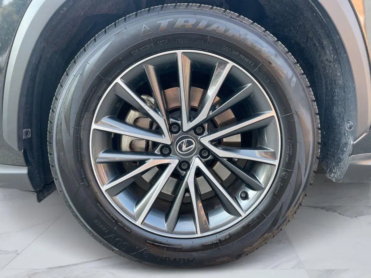Lexus NX usata a Bologna (13)