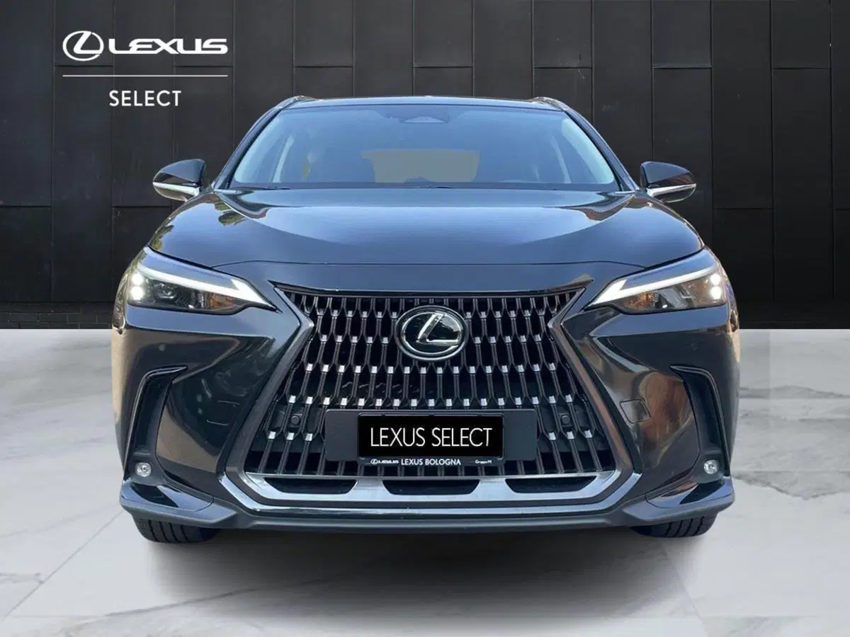 Lexus NX usata a Bologna (3)