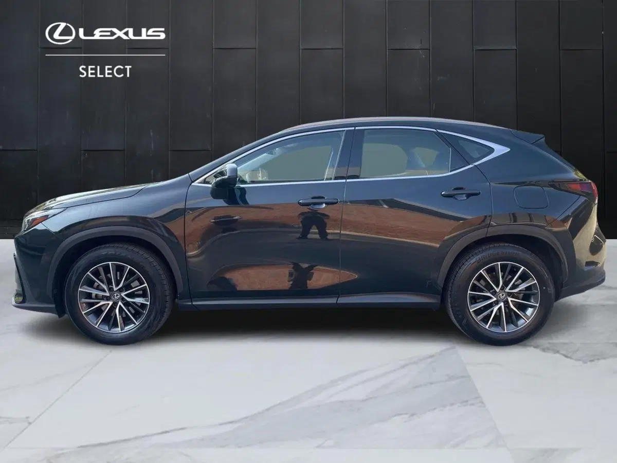 Lexus NX usata a Bologna (4)