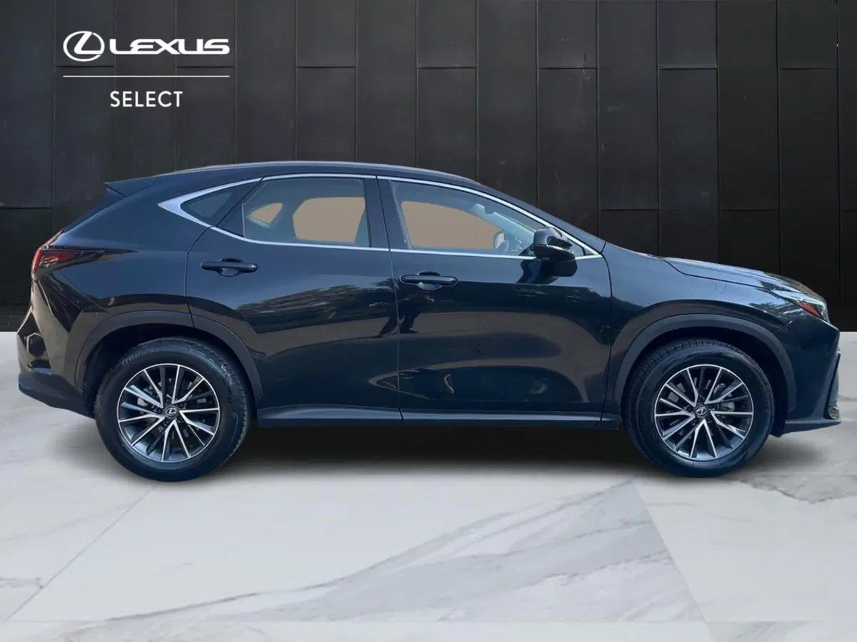 Lexus NX usata a Bologna (5)