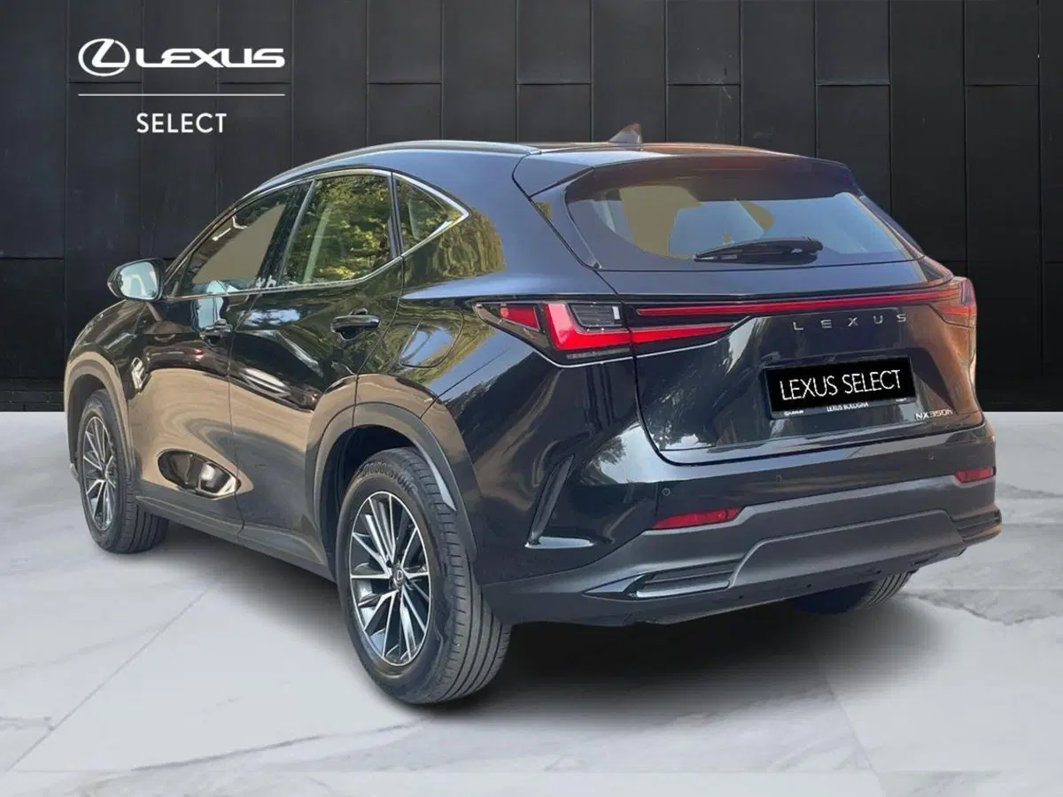 Lexus NX usata a Bologna (6)