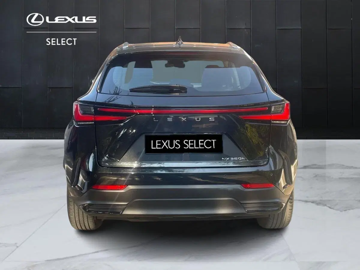 Lexus NX usata a Bologna (7)