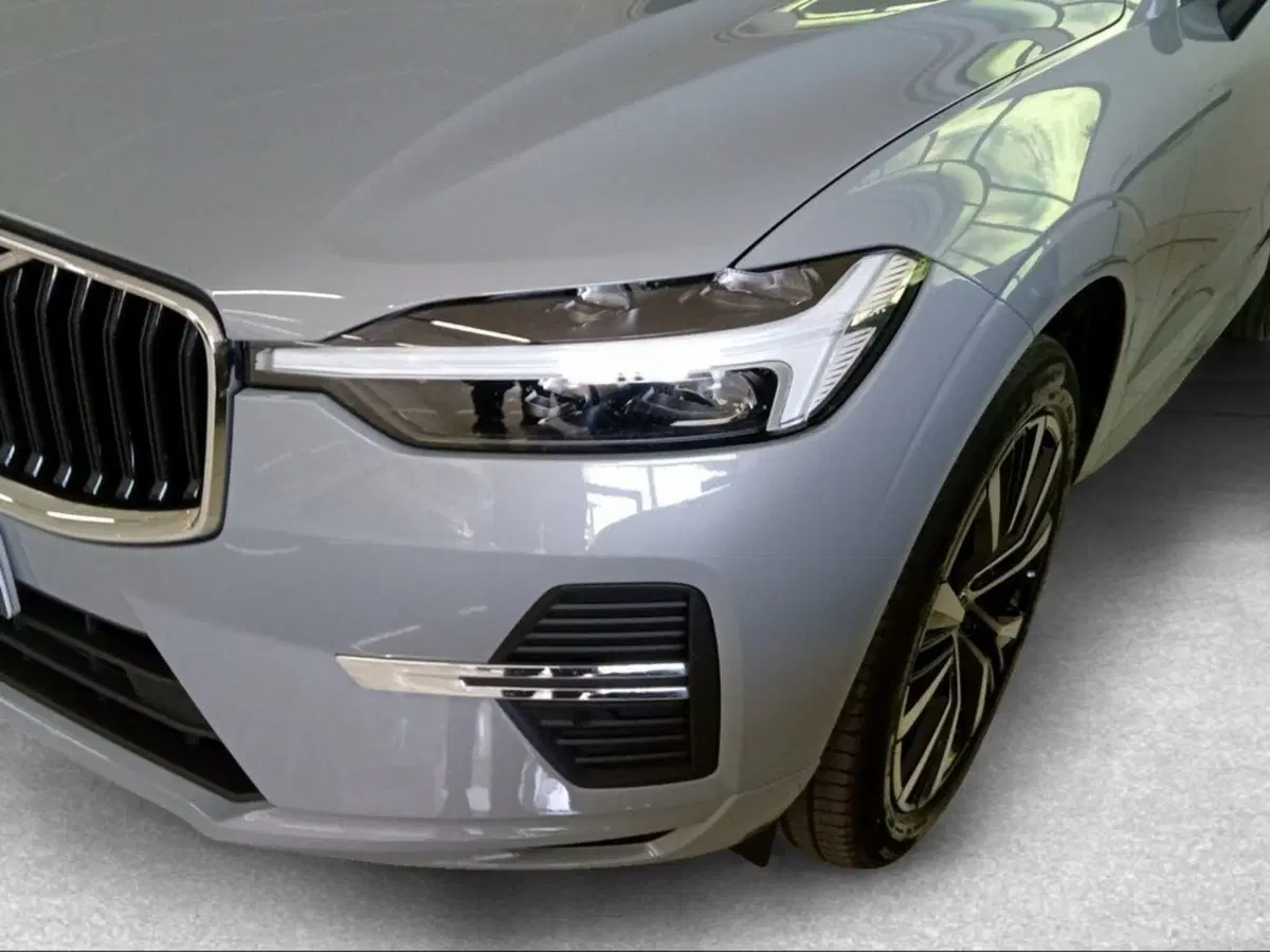 Volvo XC60 usata a Firenze (2)