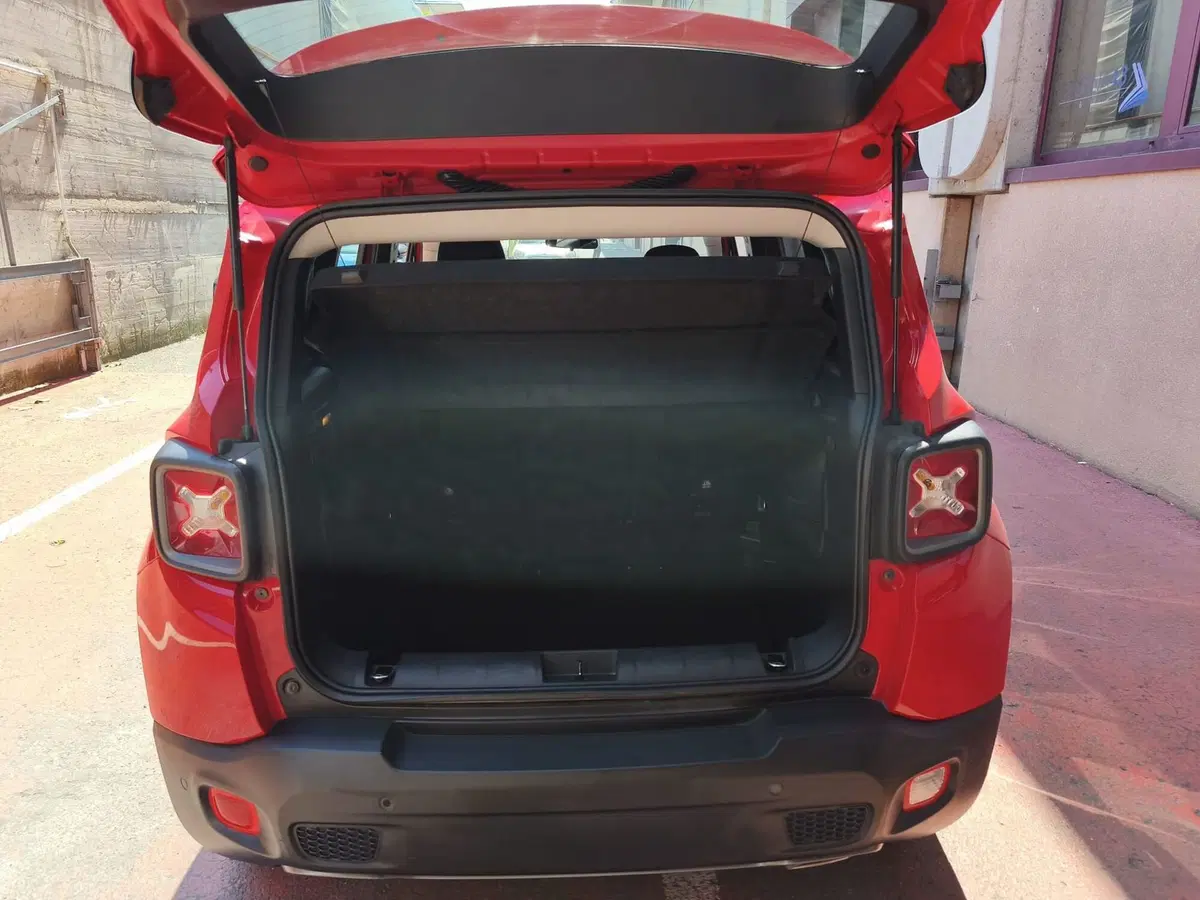 Jeep Renegade usata a Torino (12)