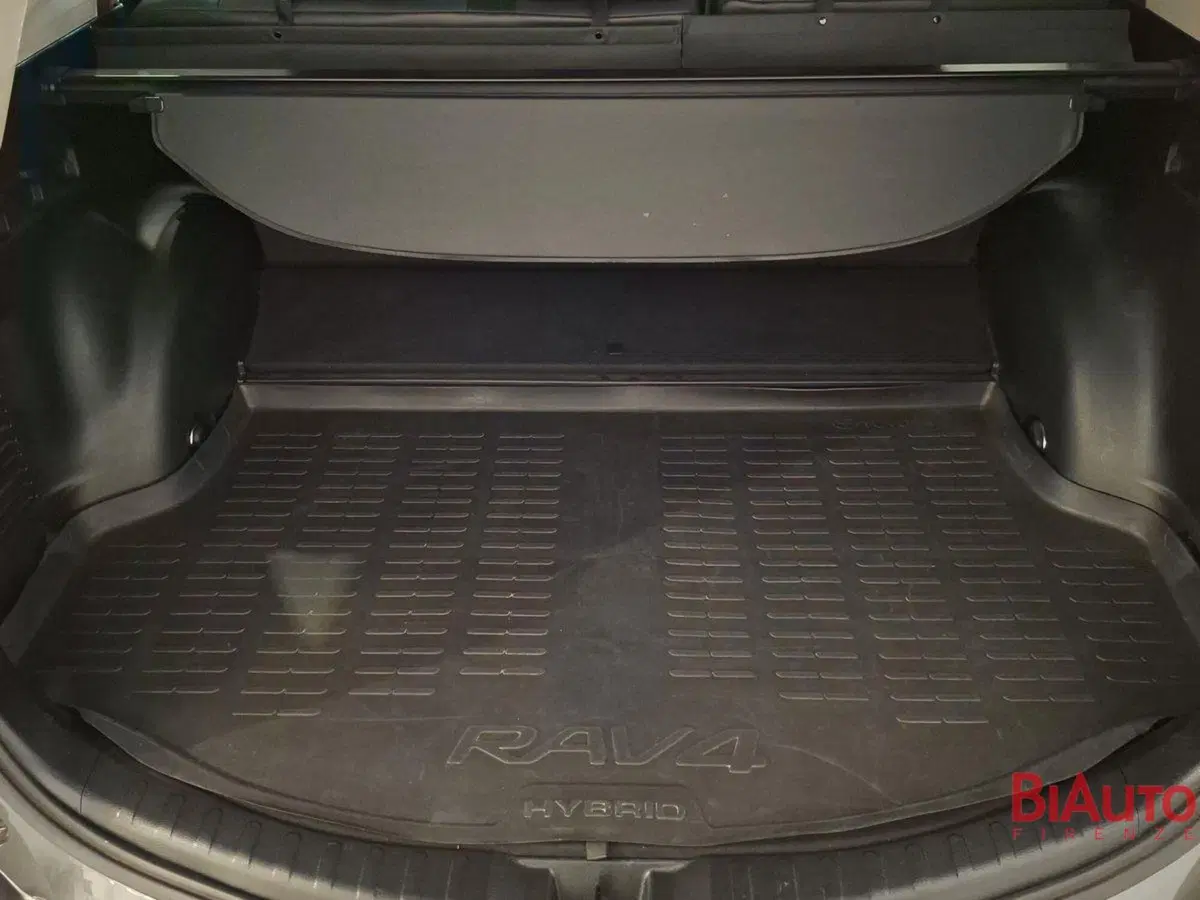 Toyota Rav4 usata a Firenze (6)