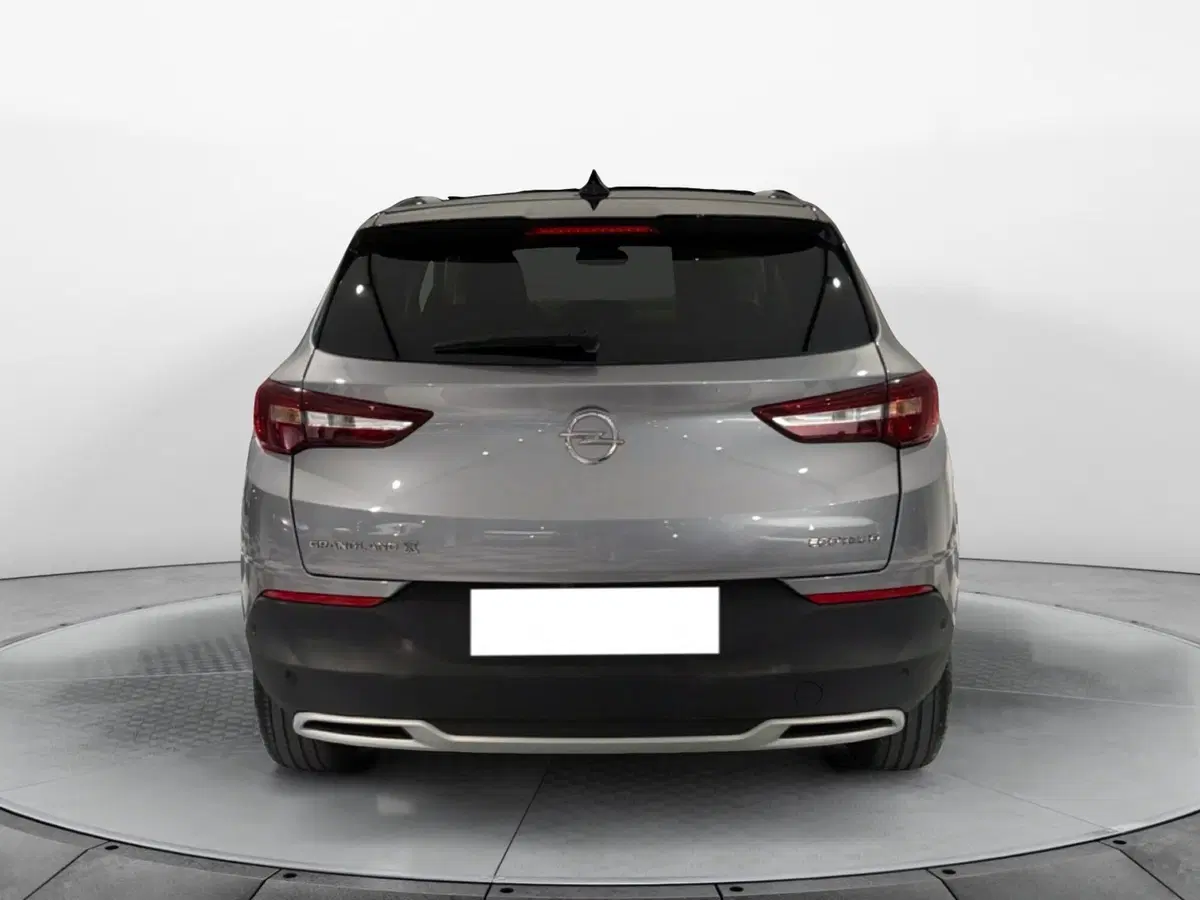 Opel Grandland X usata a Taranto (6)