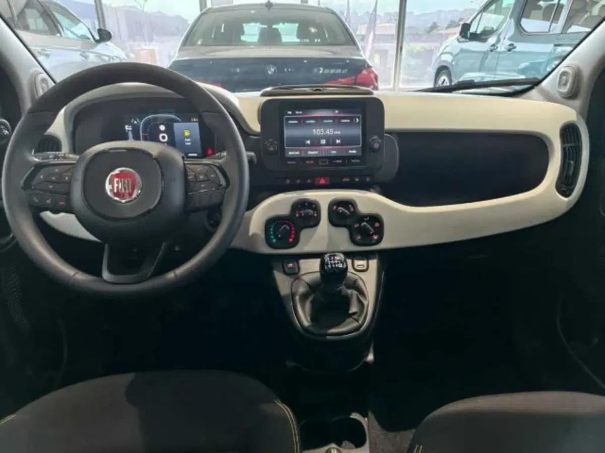 Fiat Panda Cross usata a Caltanissetta (13)