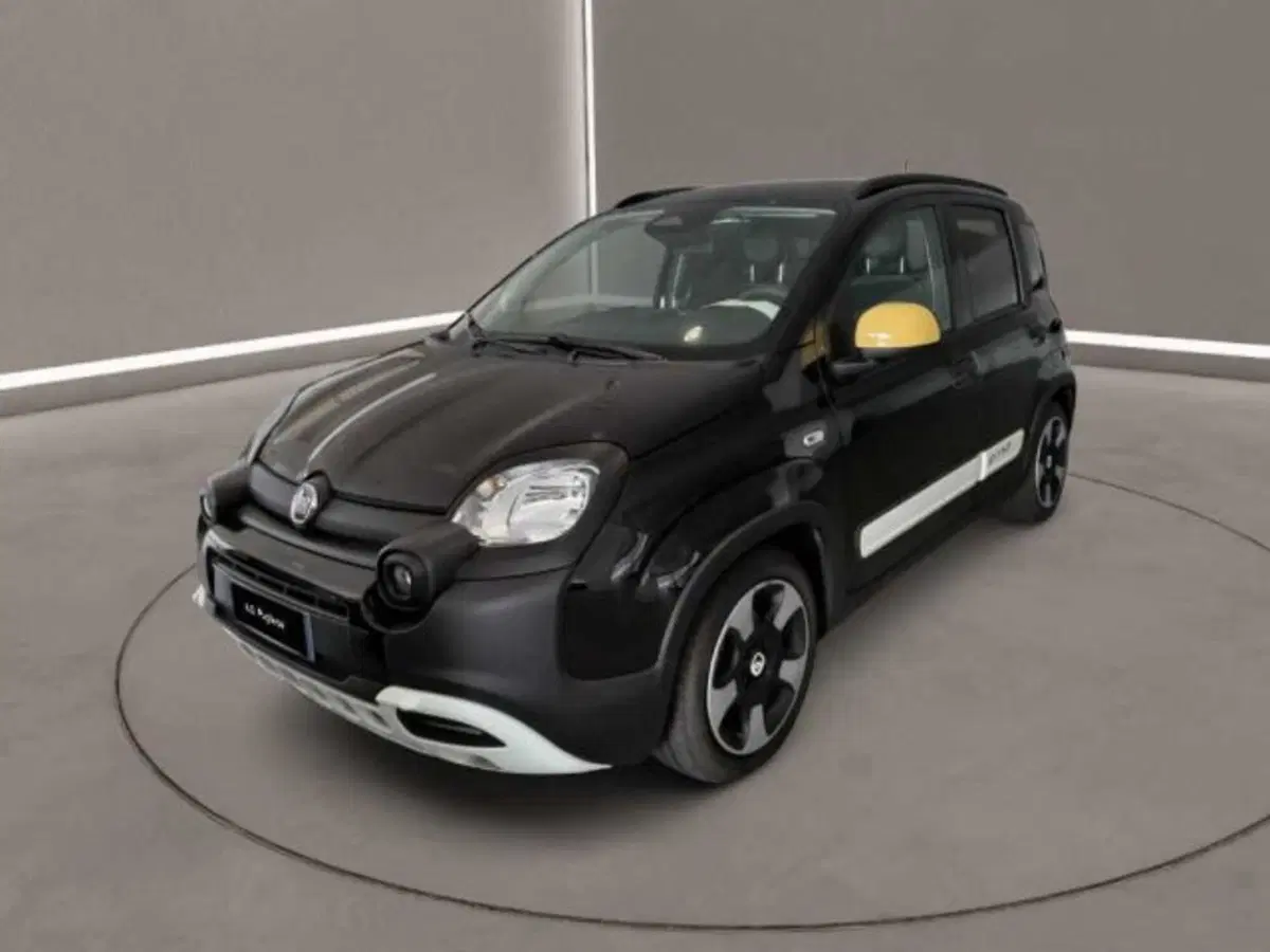 Fiat Panda Cross usata a Caltanissetta (3)