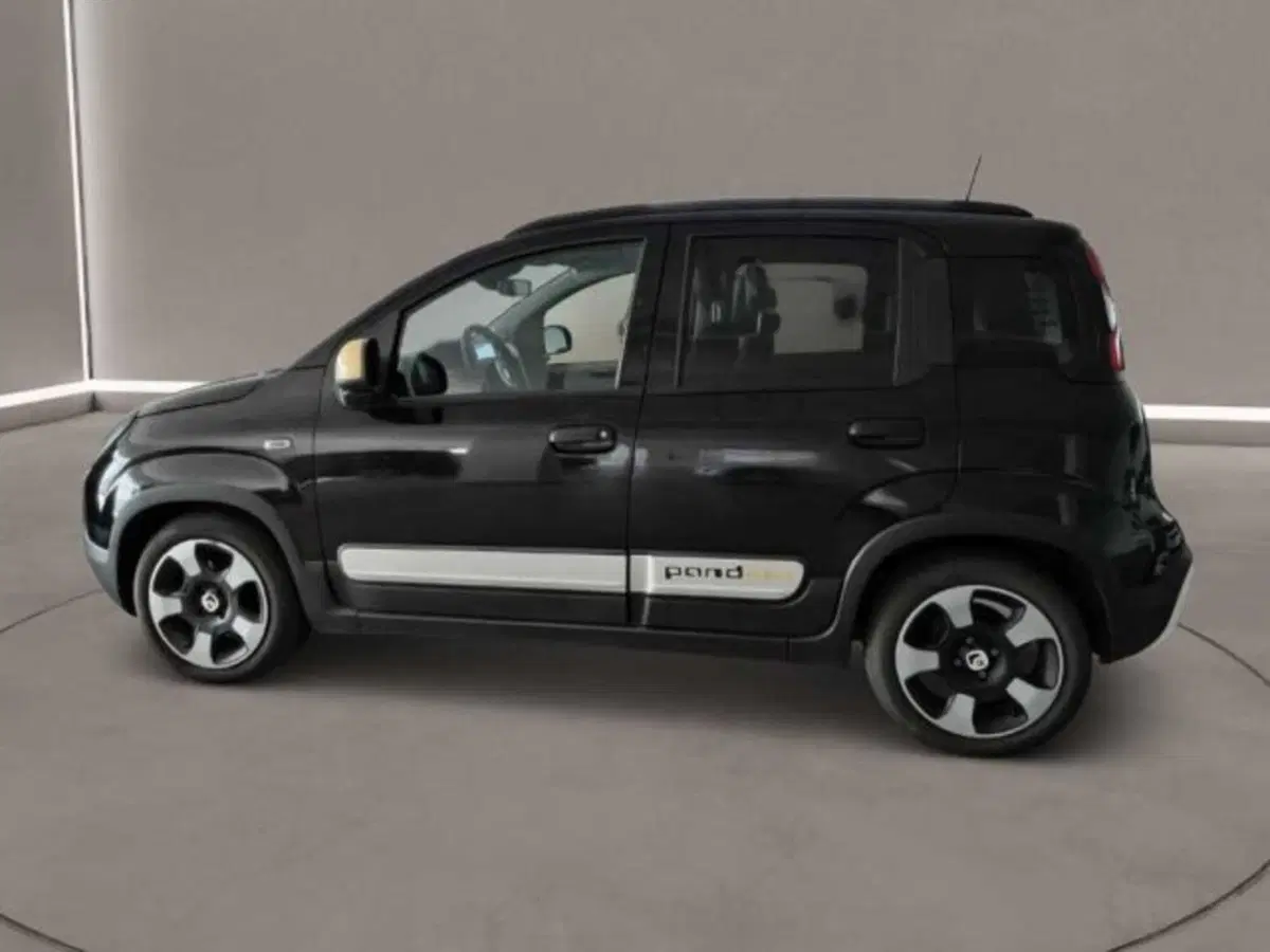 Fiat Panda Cross usata a Caltanissetta (4)