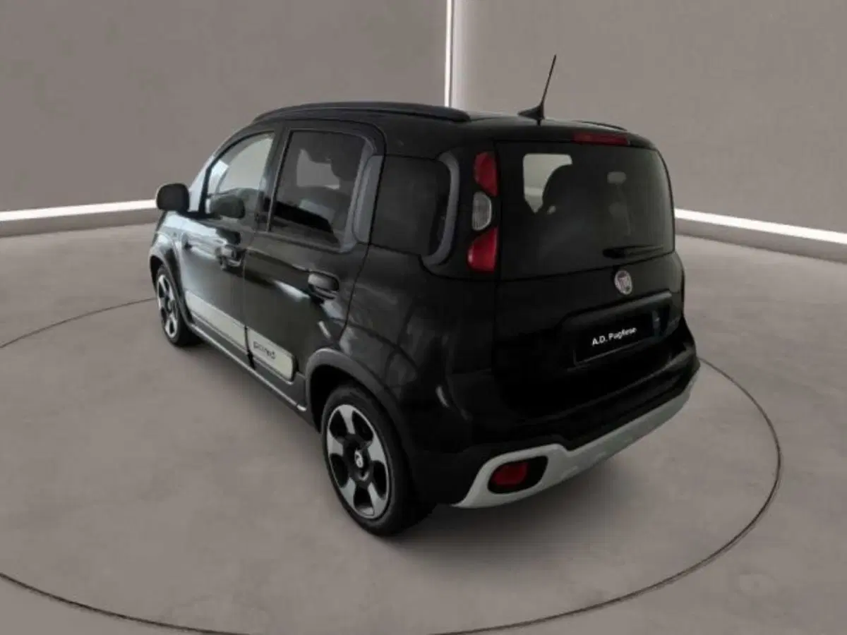 Fiat Panda Cross usata a Caltanissetta (5)