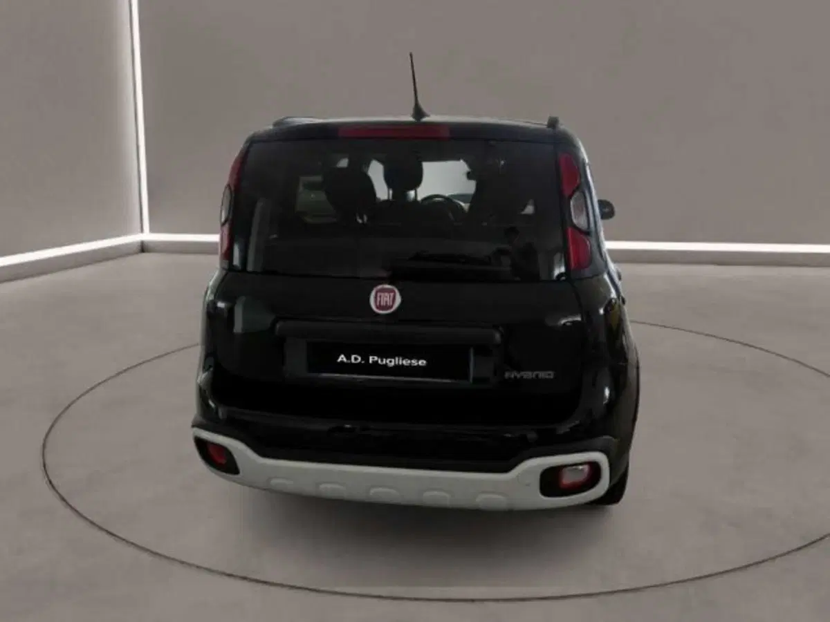 Fiat Panda Cross usata a Caltanissetta (6)