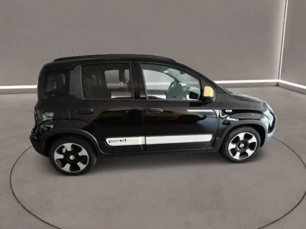 Fiat Panda Cross usata a Caltanissetta (8)