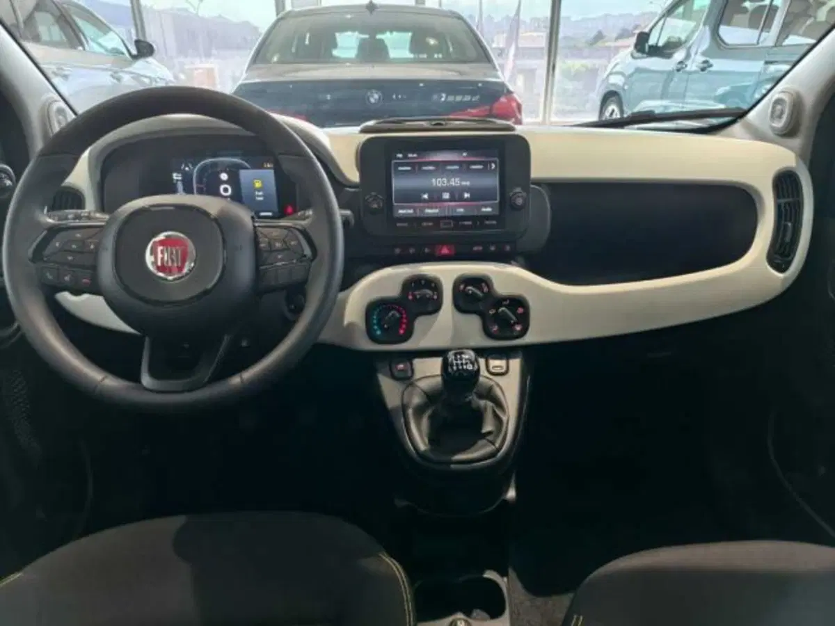 Fiat Panda Cross usata a Caltanissetta (13)