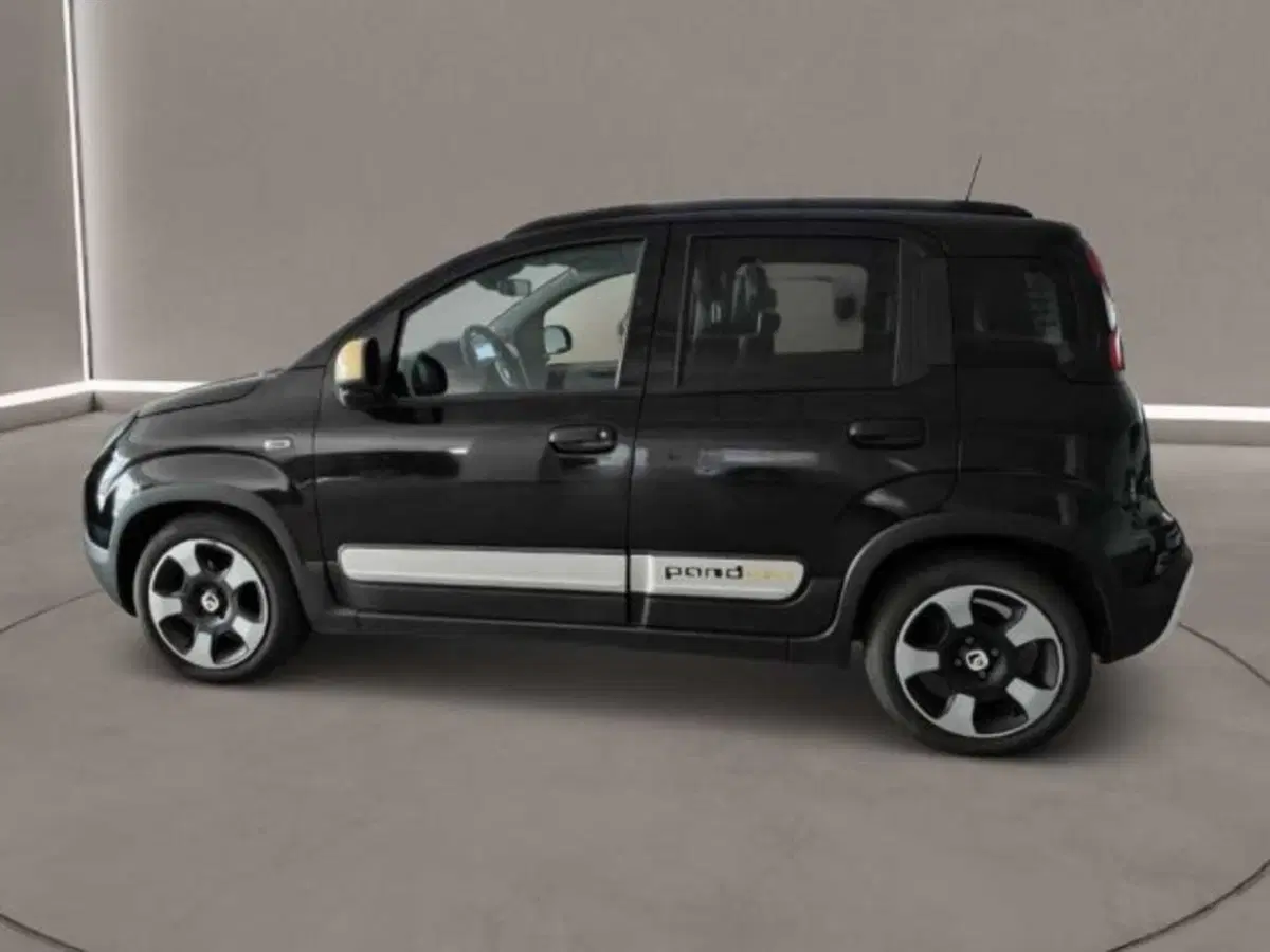 Fiat Panda Cross usata a Caltanissetta (4)