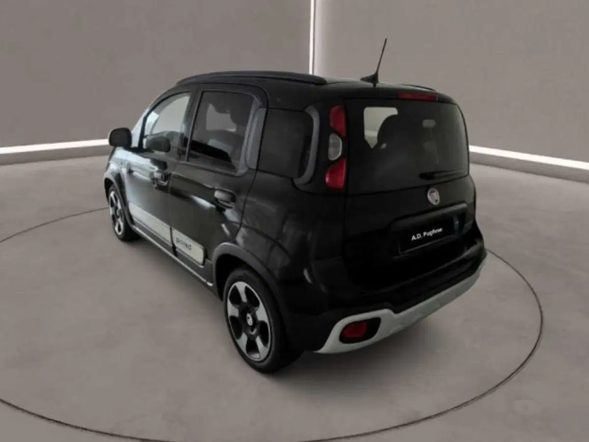 Fiat Panda Cross usata a Caltanissetta (5)
