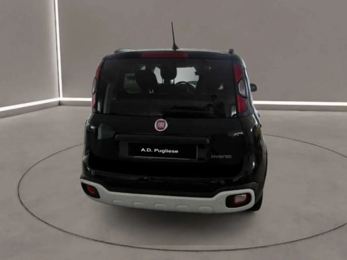 Fiat Panda Cross usata a Caltanissetta (6)