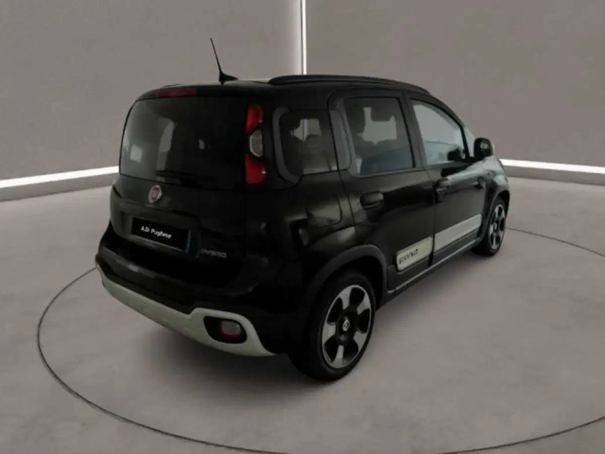 Fiat Panda Cross usata a Caltanissetta (7)