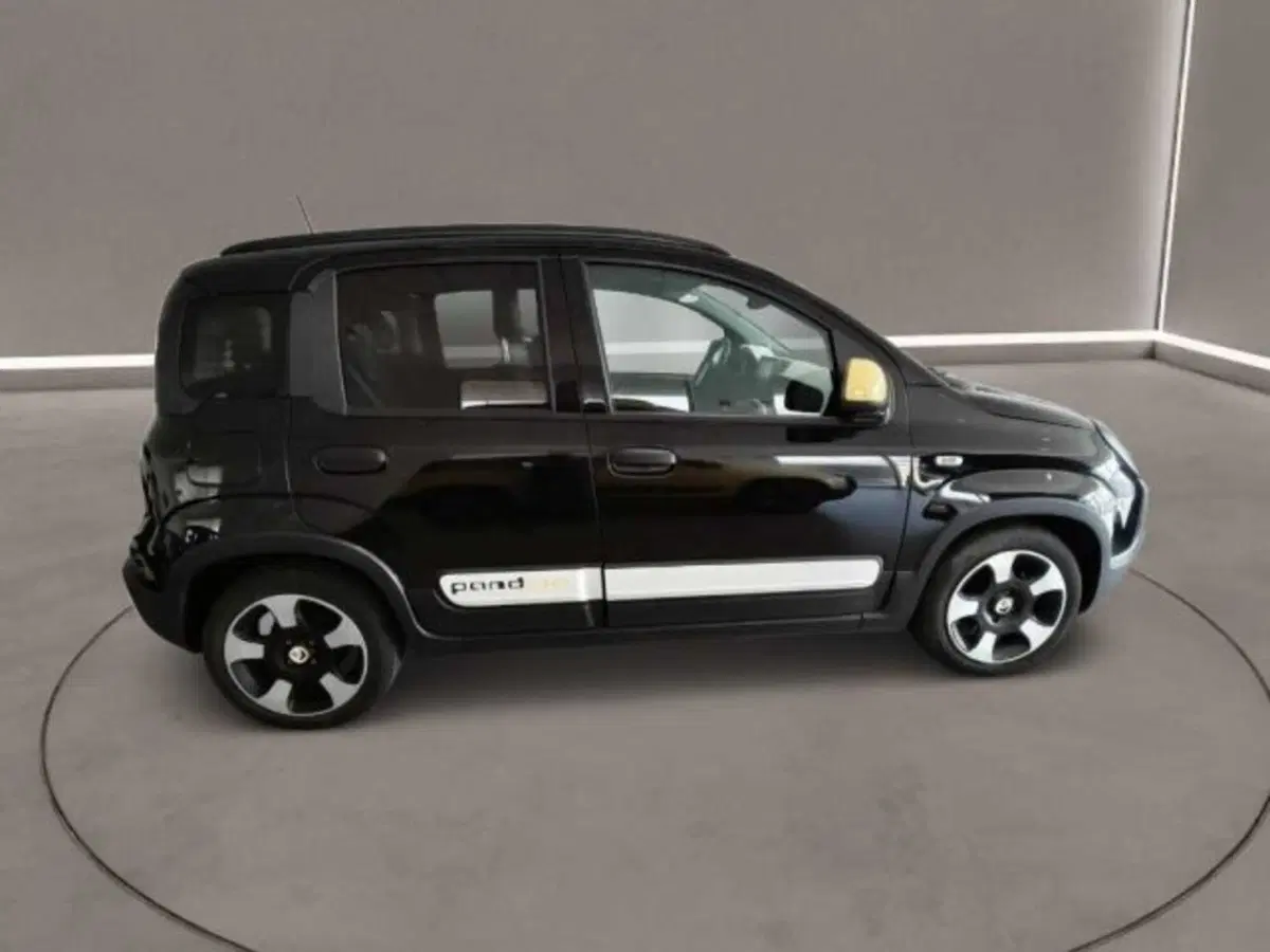 Fiat Panda Cross usata a Caltanissetta (8)