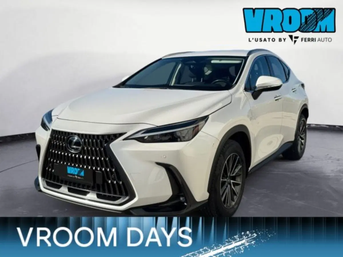 Lexus NX usata a Treviso